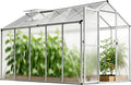 Gegaden Gewächshaus Aluminium für den Garten, 177*300*193 cm, Weiß