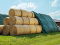 AGRI plus Strohvlies 9,8 × 12,5 m I Stabiles 140 g/m2 Schutzvlies aus Polypropylen I Extrem reißfestes Heuvlies für langfristigen Schutz I Abdeckvlies