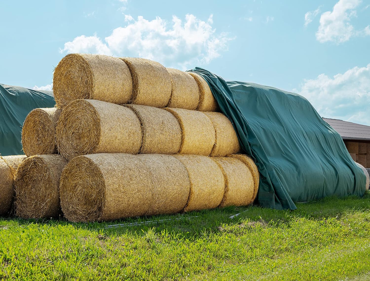 AGRI plus Strohvlies 9,8 × 12,5 m I Stabiles 140 g/m2 Schutzvlies aus Polypropylen I Extrem reißfestes Heuvlies für langfristigen Schutz I Abdeckvlies